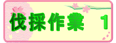 伐採作業　１